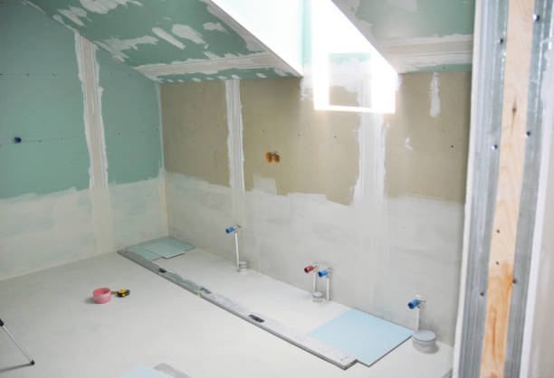 Best Basement Mold Removal  in Ludington, MI