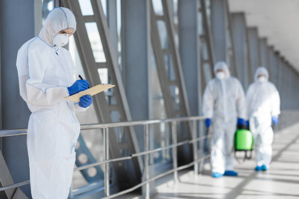 Best Mold Prevention Services  in Ludington, MI