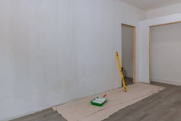 Reliable Ludington, MI Mold Removal Solutions