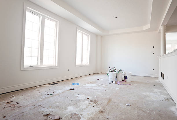 Best Forensic Mold Investigation  in Ludington, MI