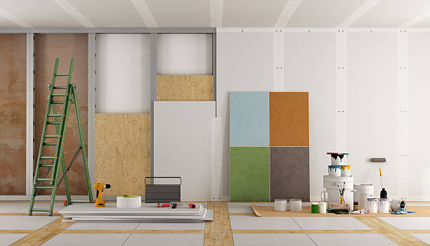 Best Industrial Mold Remediation  in Ludington, MI
